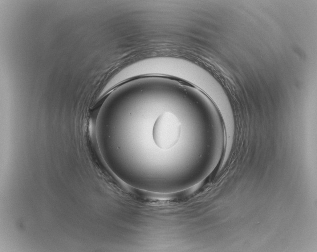 X0000116590417200912101543