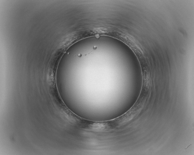 X0000116590418200912101543