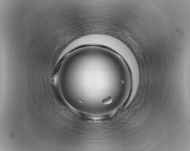 X0000116590419200912101543