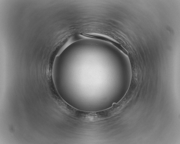 X0000116590420200912101543