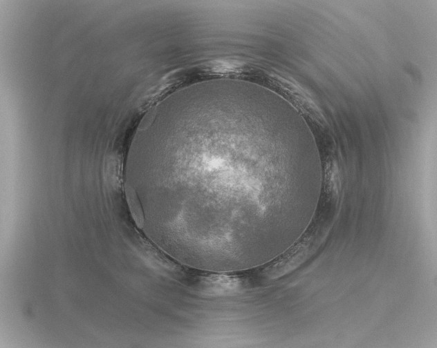 X0000116590421200912101543