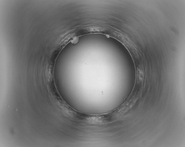 X0000116590422200912101543