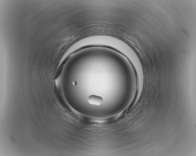 X0000116590423200912101543