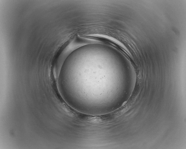 X0000116590424200912101543