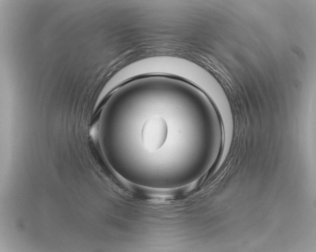 X0000116590425200912101543