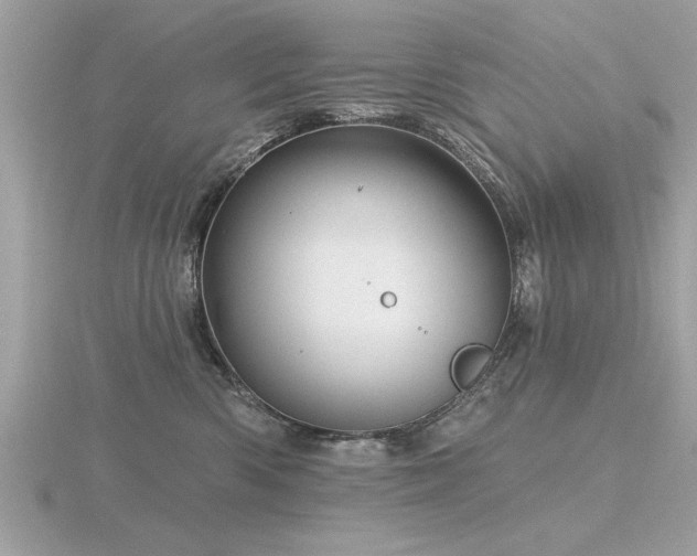 X0000116590426200912101543