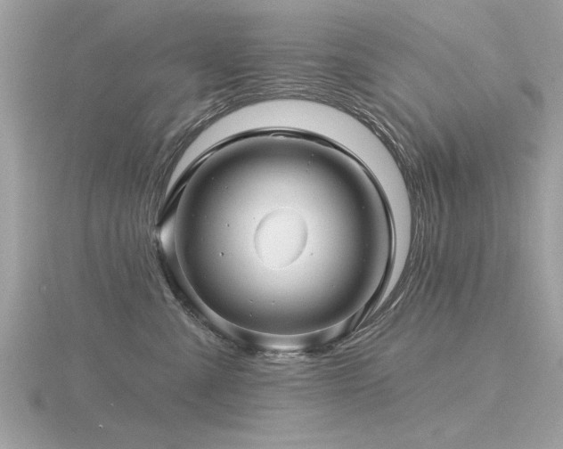 X0000116590427200912101543