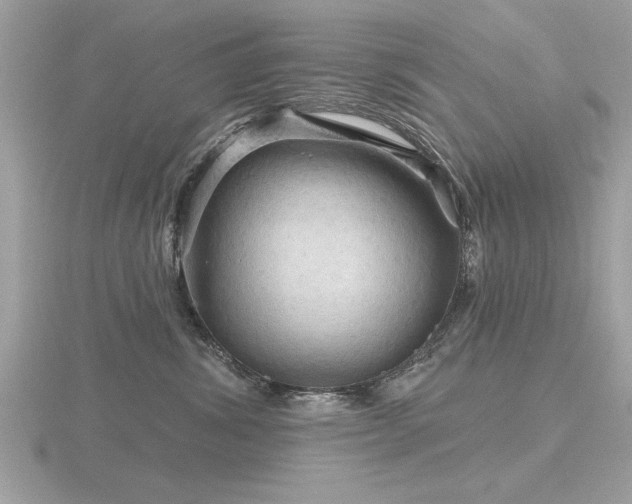 X0000116590428200912101543