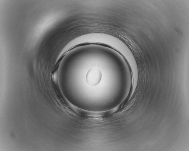 X0000116590429200912101543