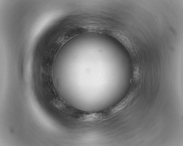 X0000116590430200912101543