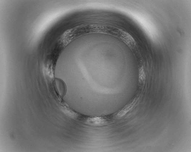 X0000116590431200912101543