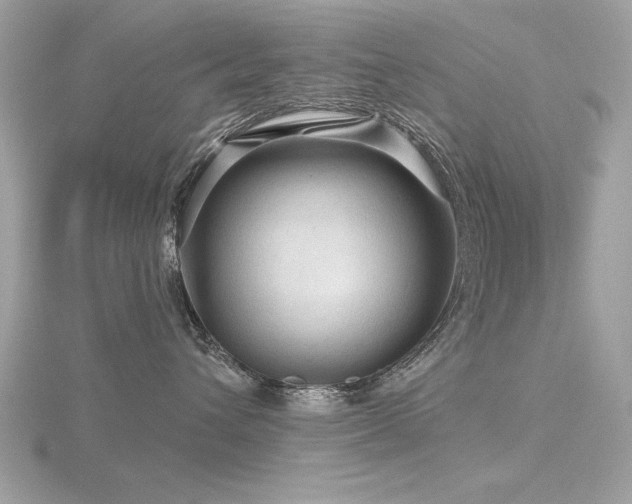 X0000116590432200912101543