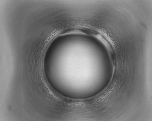 X0000116590433200912101542