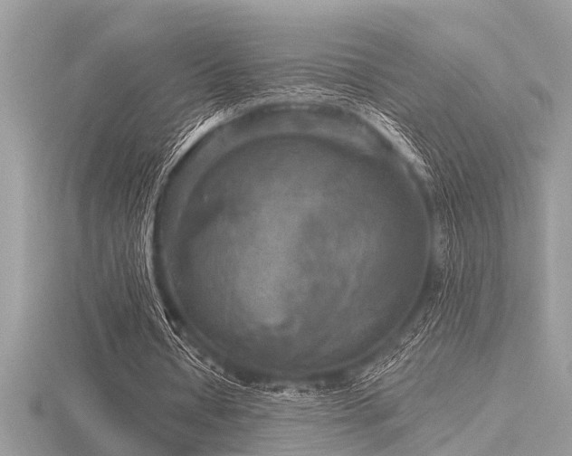 X0000116590434200912101542