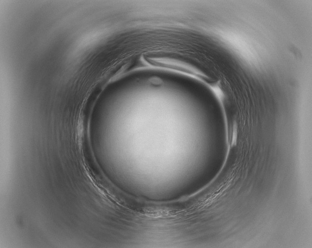 X0000116590435200912101542