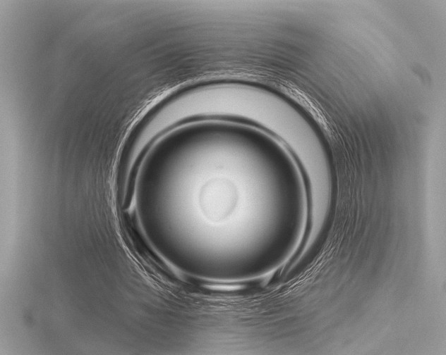 X0000116590436200912101542