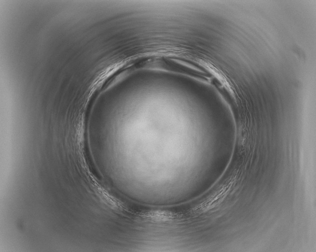 X0000116590437200912101542