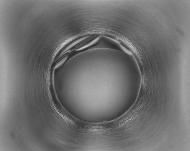 X0000116590438200912101542