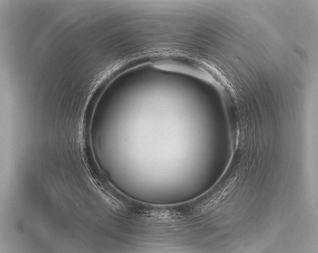 X0000116590439200912101542