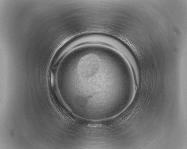 X0000116590440200912101542