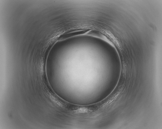 X0000116590441200912101542