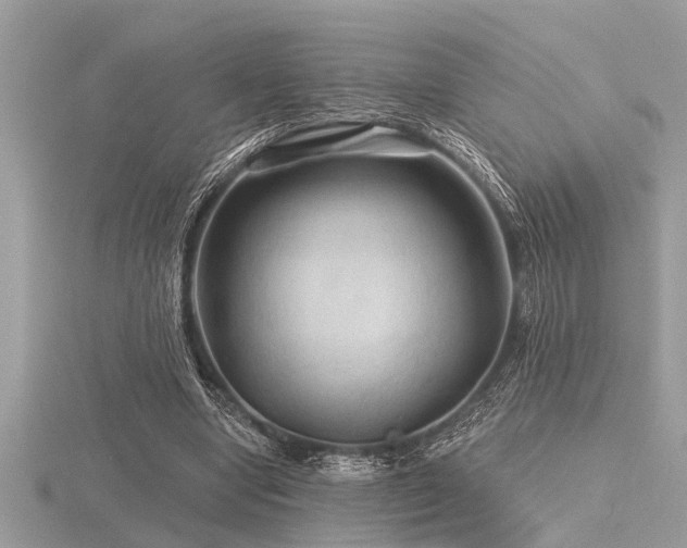 X0000116590442200912101542