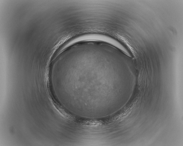 X0000116590443200912101542