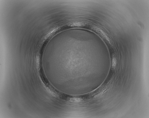 X0000116590444200912101542