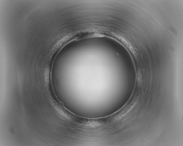 X0000116590445200912101542