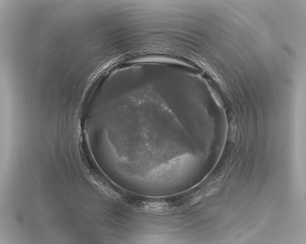 X0000116590446200912101543