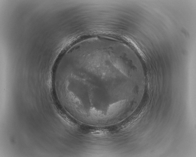 X0000116590447200912101543