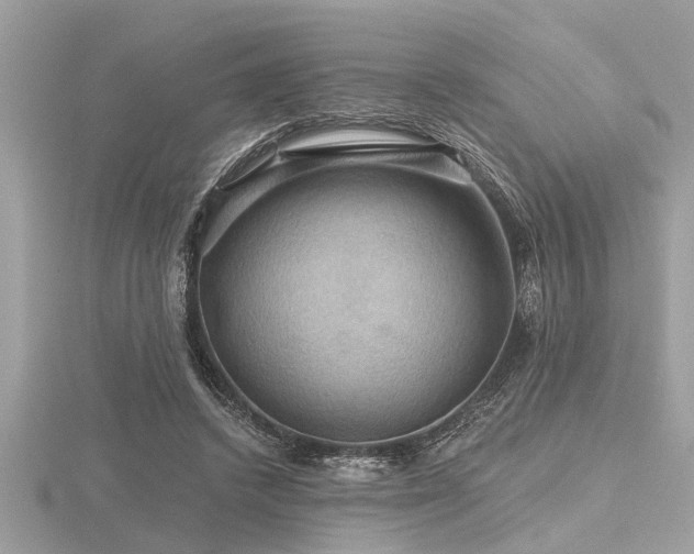 X0000116590448200912101543