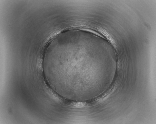 X0000116590449200912101543