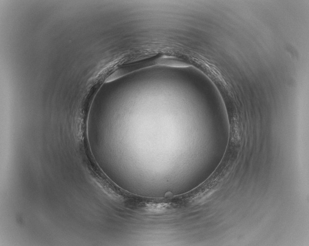 X0000116590450200912101543