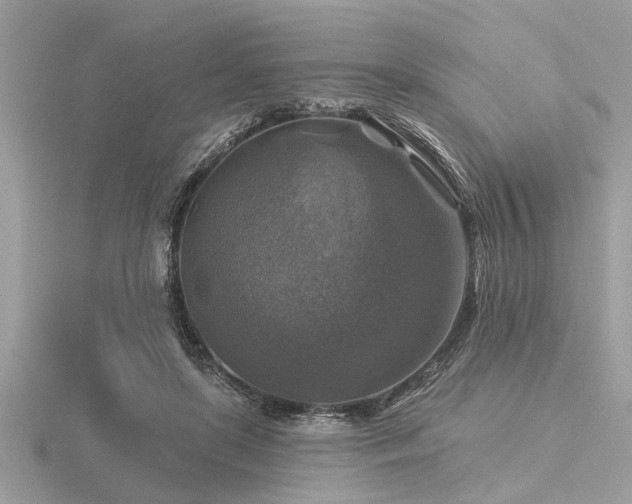 X0000116590451200912101543