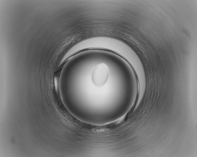 X0000116590452200912101543