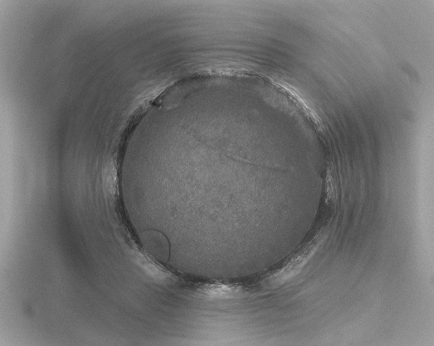 X0000116590453200912101543