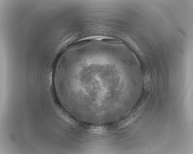 X0000116590454200912101543