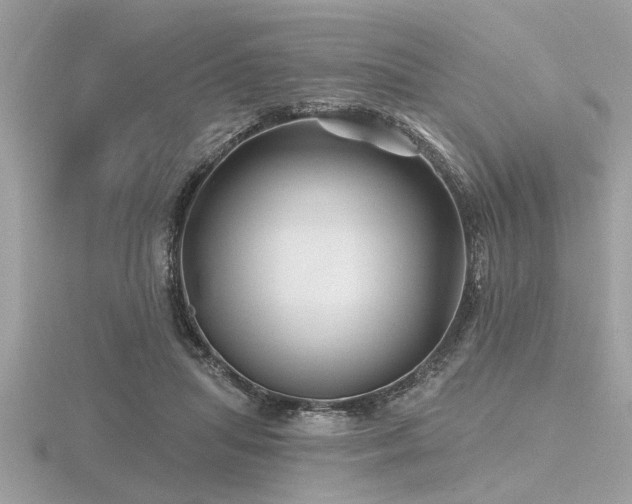 X0000116590455200912101543