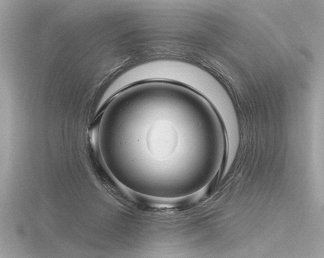 X0000116590456200912101543