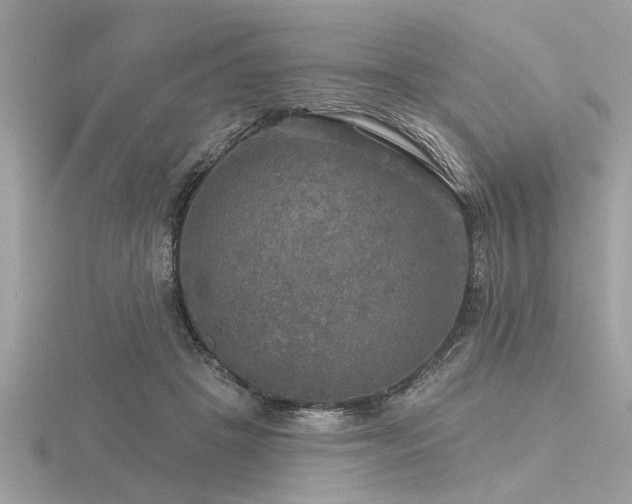 X0000116590457200912101543