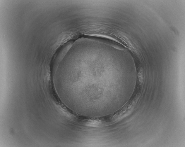 X0000116590458200912101543