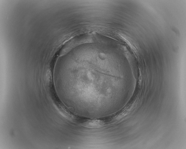 X0000116590459200912101543