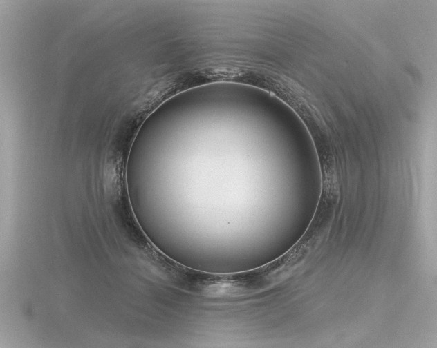 X0000116590460200912101543