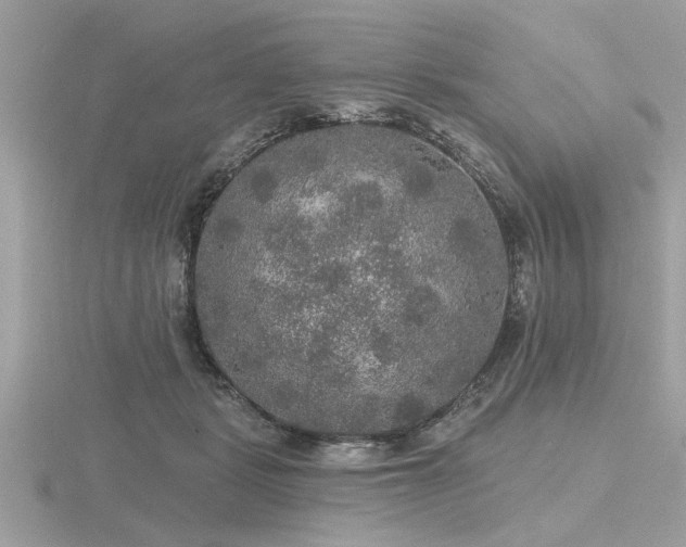 X0000116590461200912101543