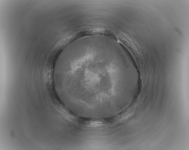 X0000116590462200912101543