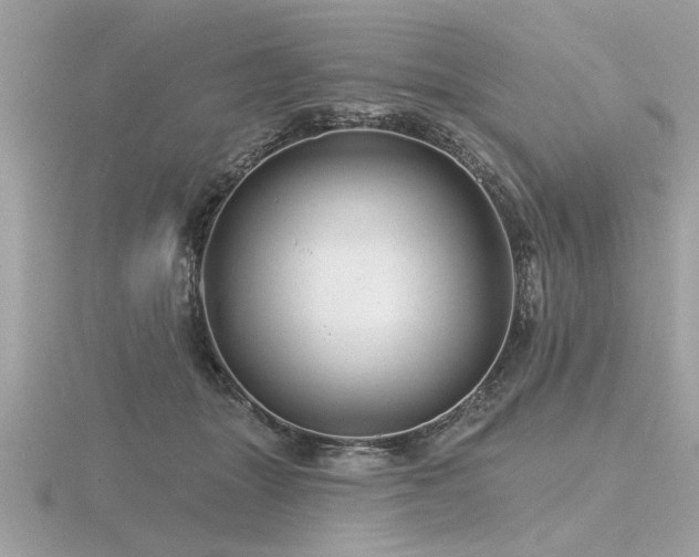 X0000116590463200912101543