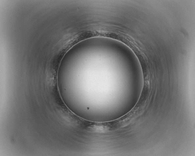 X0000116590464200912101543