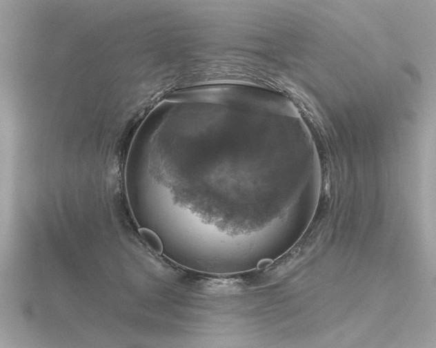 X0000116590465200912101543