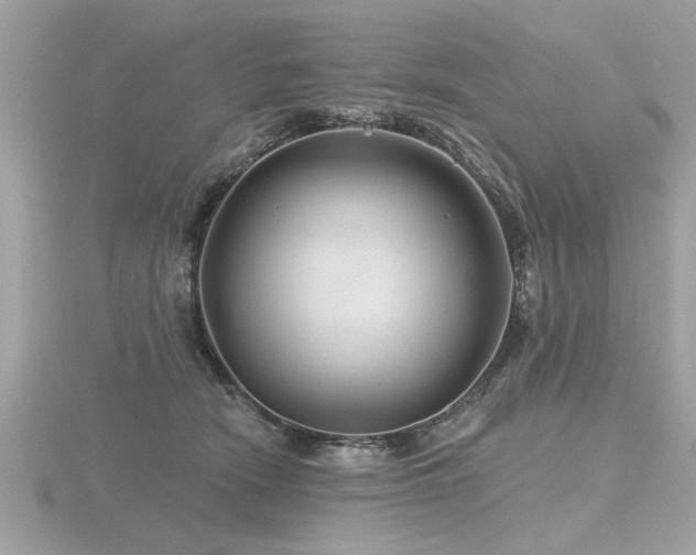 X0000116590466200912101543